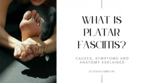 What is plantar fasciitis? Learn about its causes, symptoms, and anatomy explained at FlexologyGuide.com. Discover effective ways to manage foot pain and improve mobility
