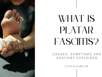 What is plantar fasciitis? Learn about its causes, symptoms, and anatomy explained at FlexologyGuide.com. Discover effective ways to manage foot pain and improve mobility